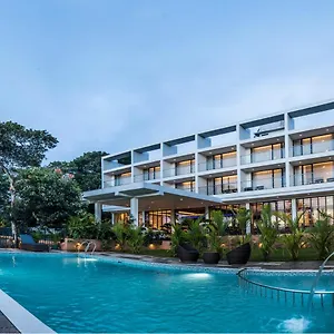 Wild Avenue & Thekkady