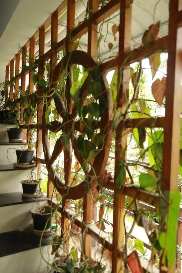 Periyar Woods Bed & Breakfast Thekkady