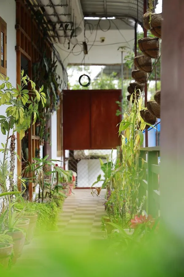 Bed and Breakfast Periyar Woods Thekkady