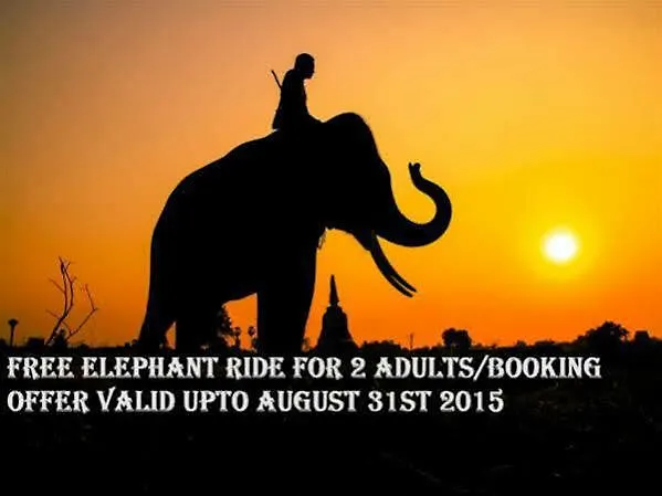 Bed and Breakfast Periyar Woods Thekkady